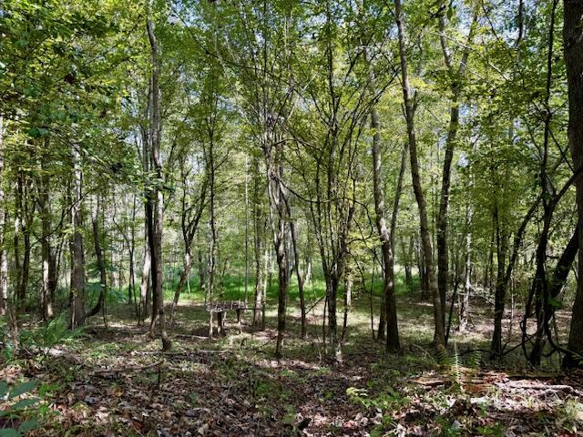 Mississippi Land For Sale With A Creek