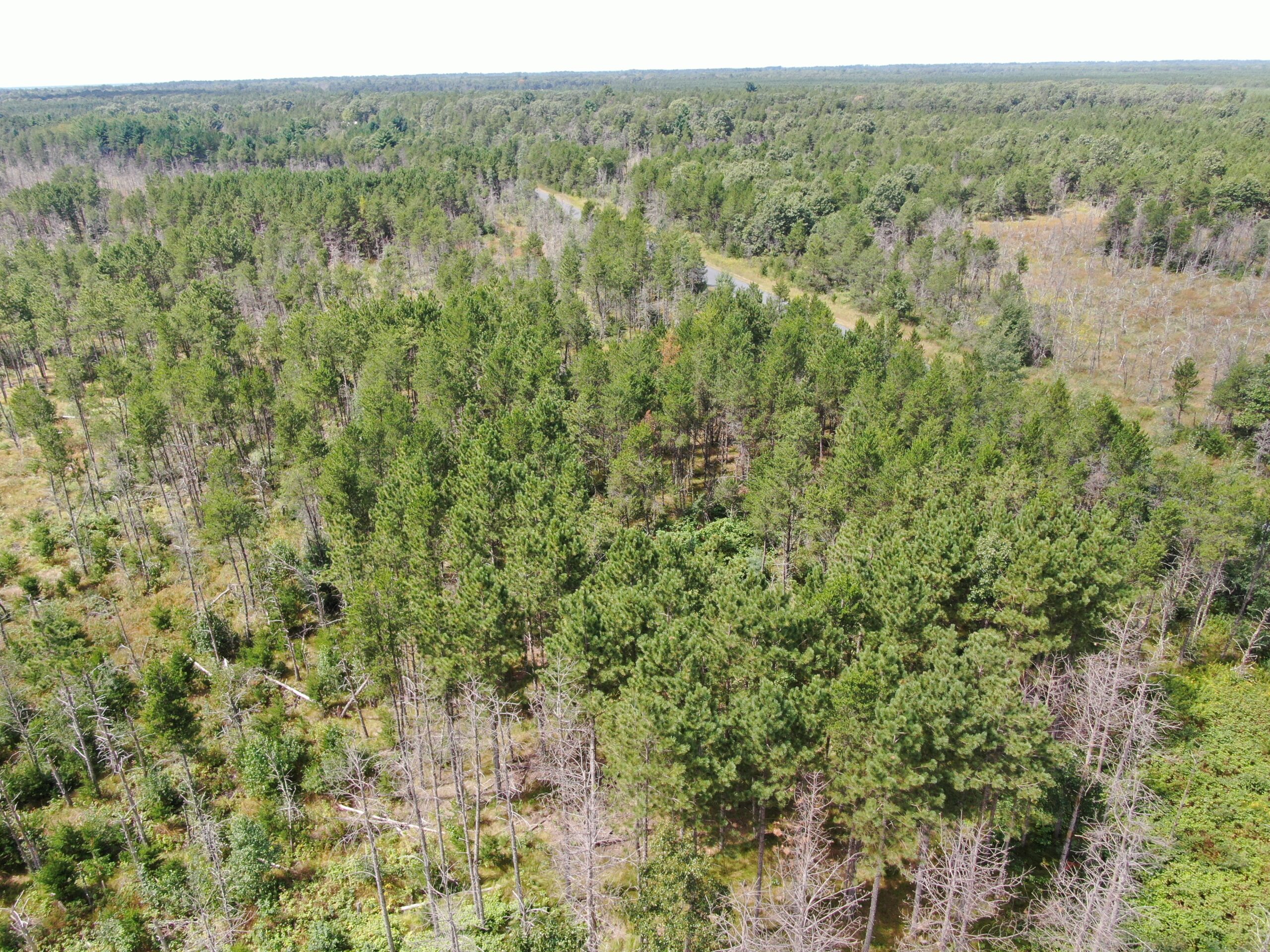 40-acre corner parcel in the Town of Monroe