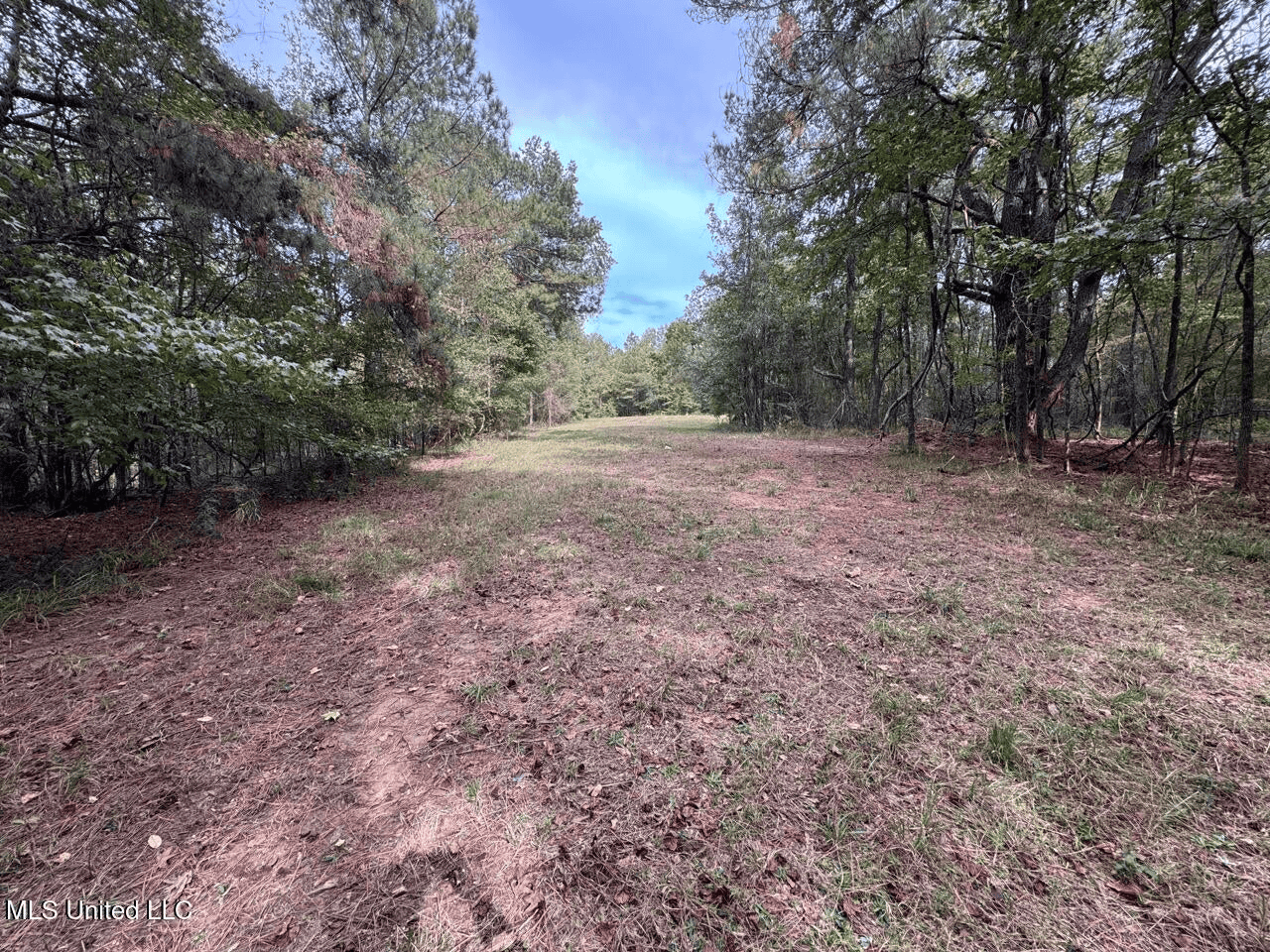 Hunting Land in Claiborne County, MS – The Sawmill 98