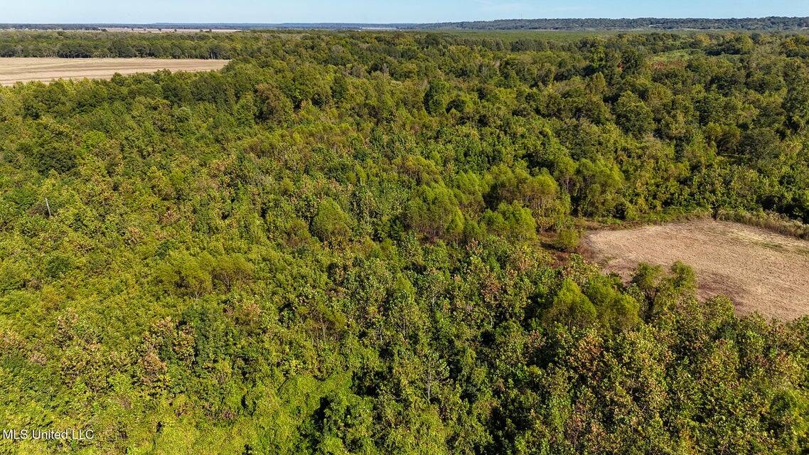 Yazoo River Hunting Tract 78.16 Acres