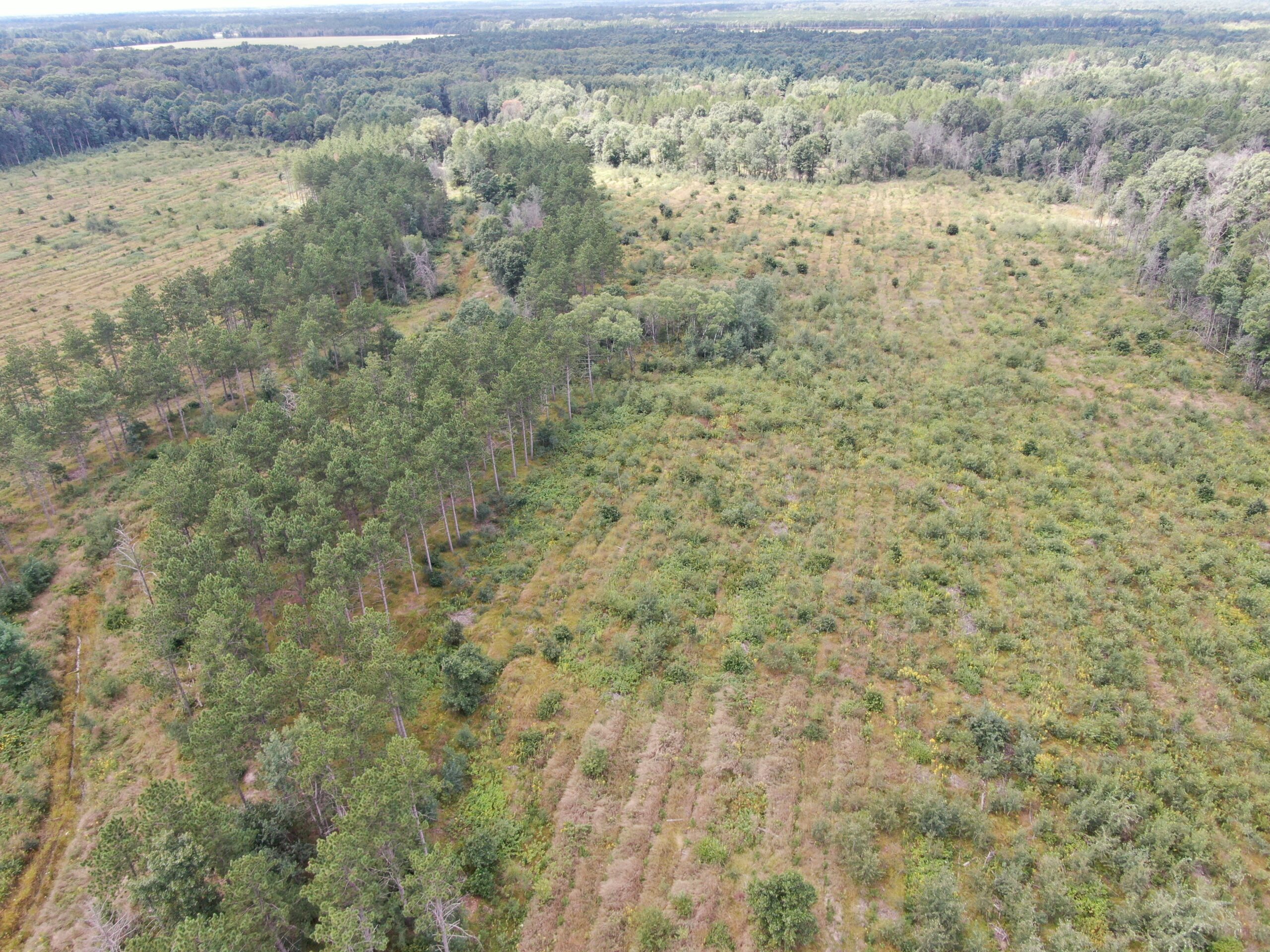 80-acre parcel in the Town of Big Flats