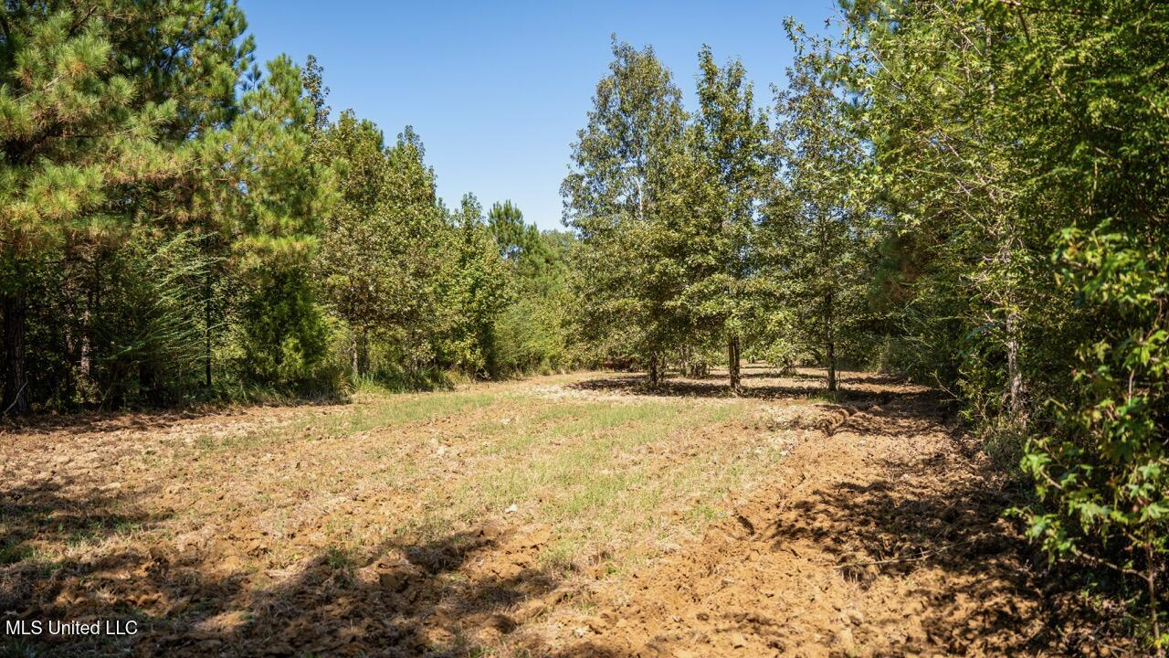 203 Acres in Smithdale MS – Turnkey Hunting Retreat