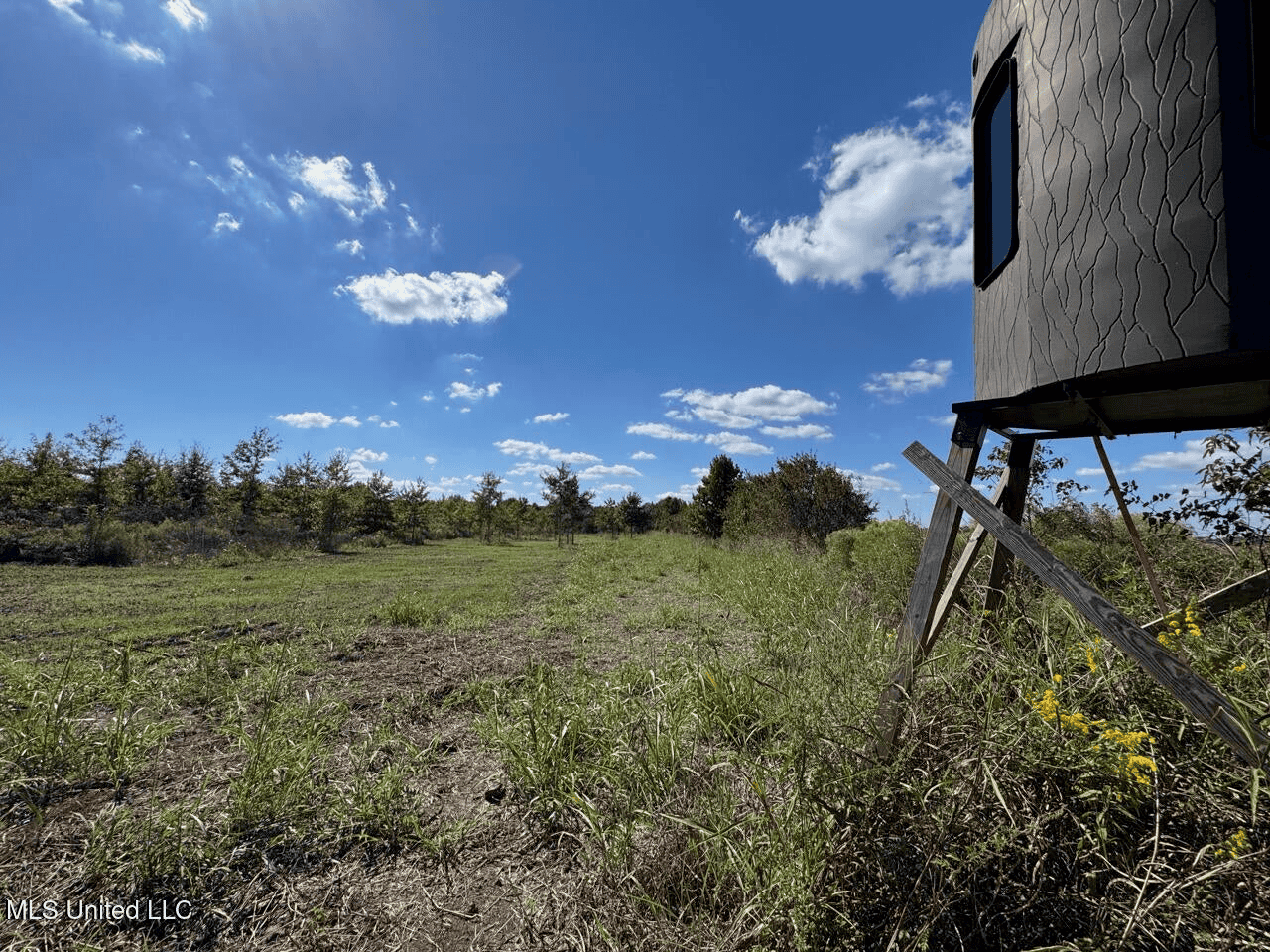 Tensas Parish Land Near Lake St. John – 80 Acres