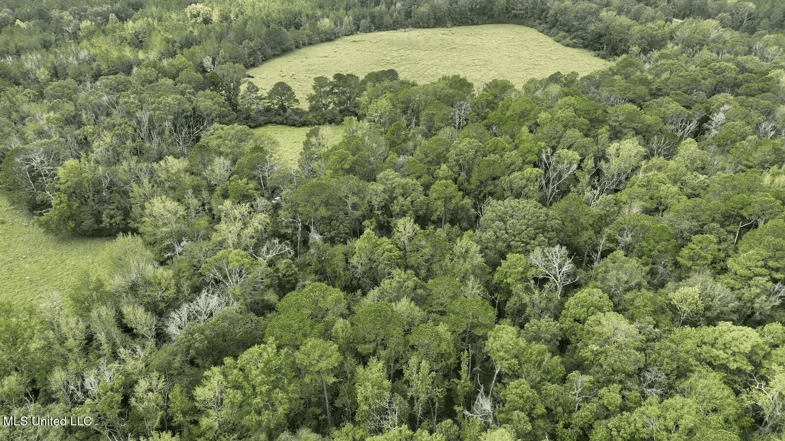 Prentiss MS Pasture Land for sale