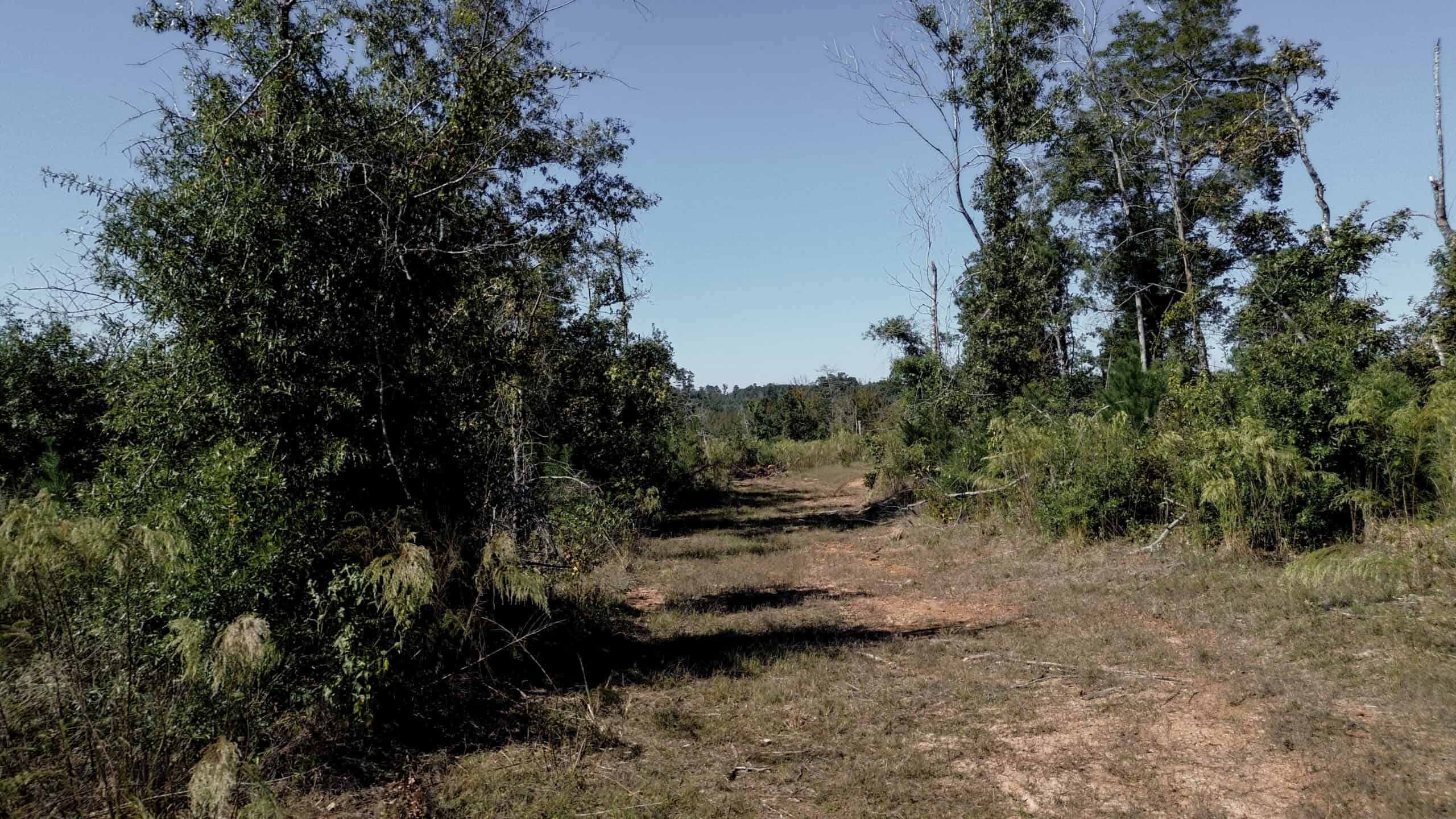 Affordable Lincoln Parish Land for Sale – Tract 4