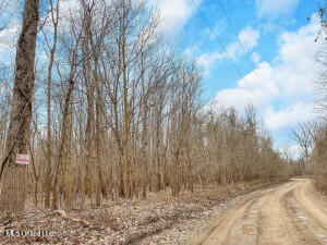 Southside Land Share for Sale in Jefferson County, MS