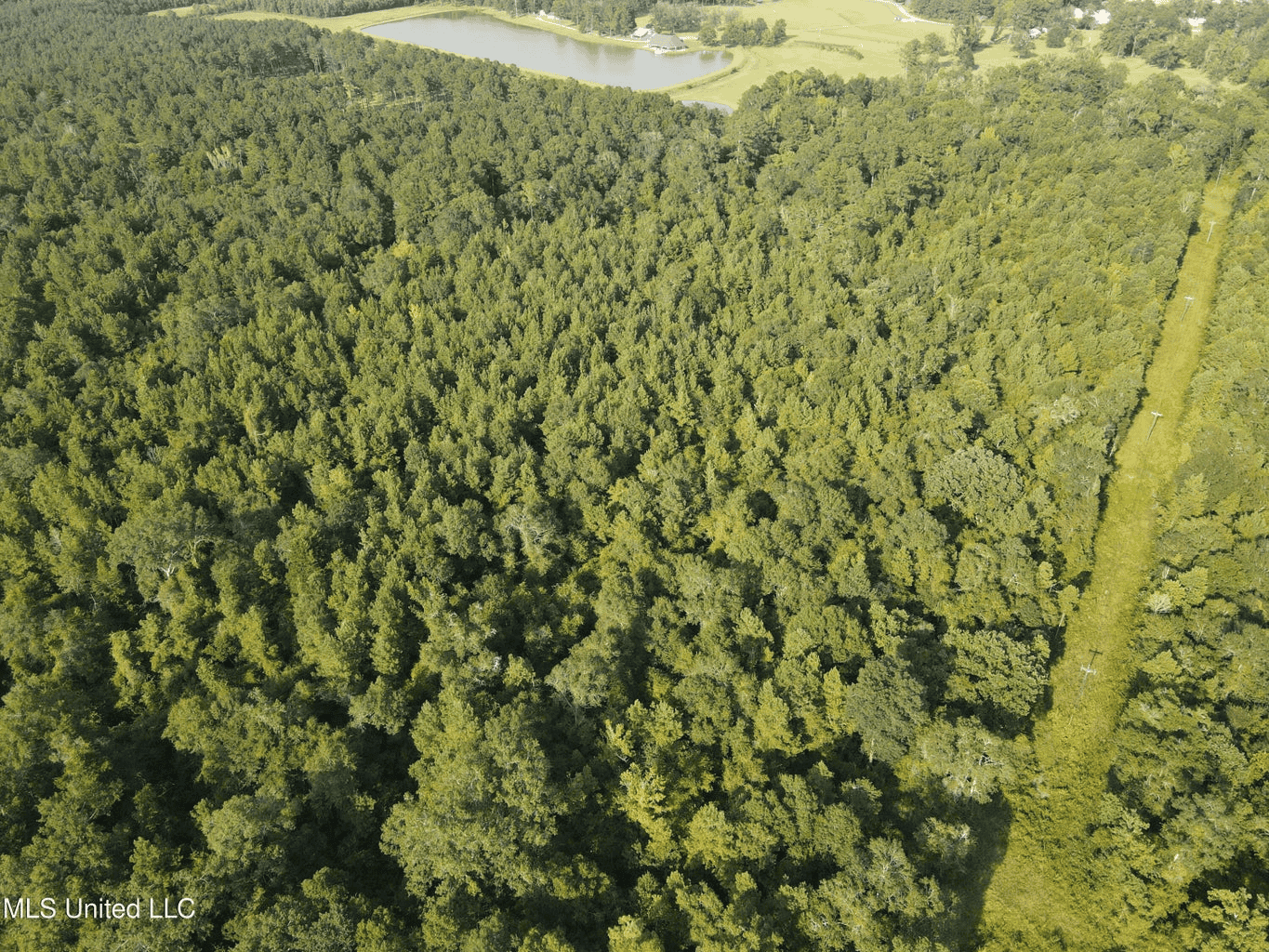 48 Acres for Sale in Jones County, MS Ellisvillle, MS