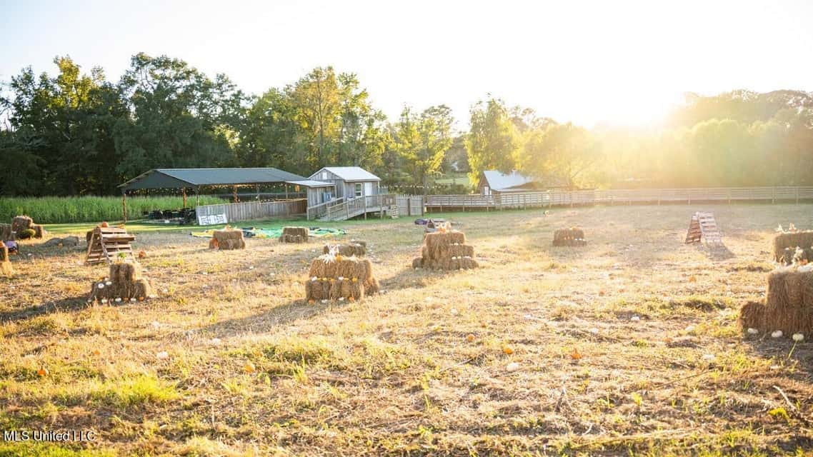 Magnolia Wilds – Premier Louisiana Investment Property for Sale