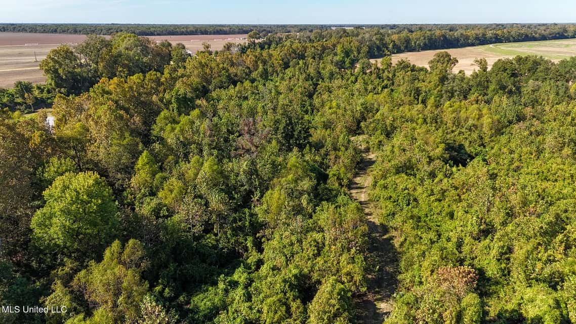 Yazoo River Hunting Tract 78.16 Acres