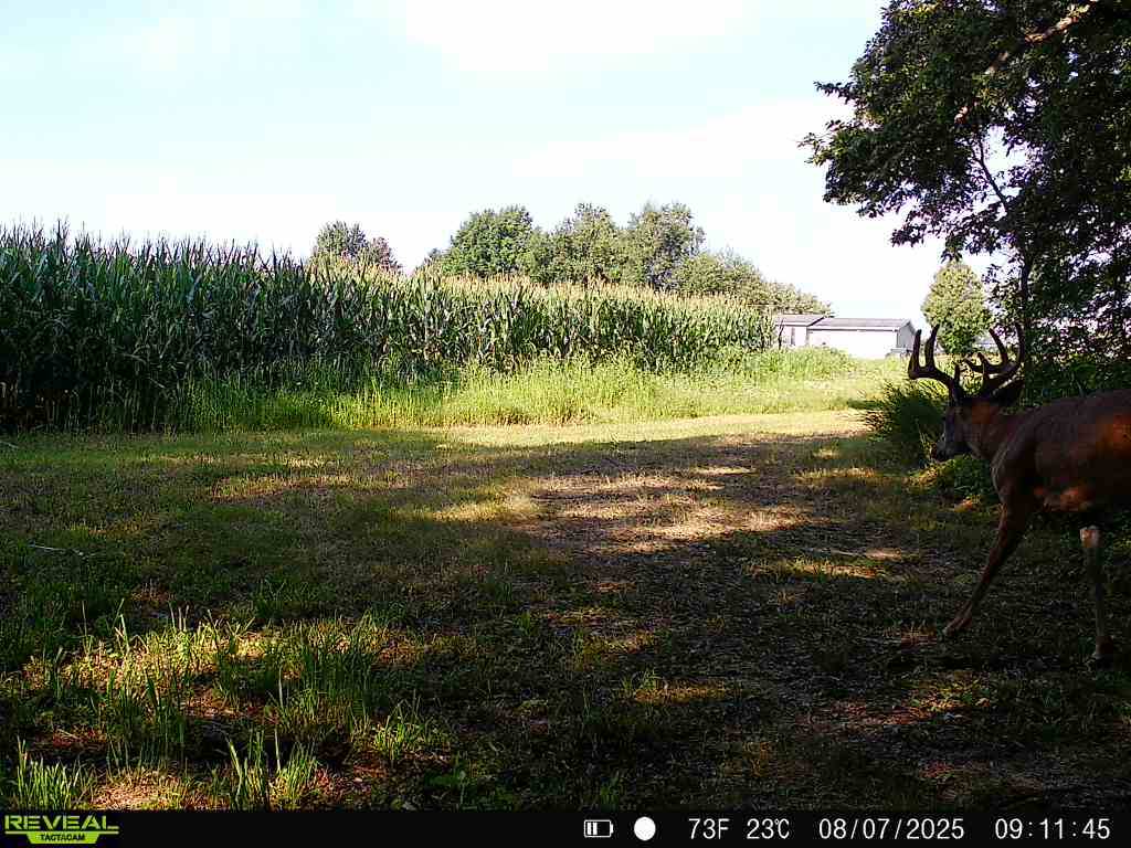 28± acre Sauk County Gem of a Property