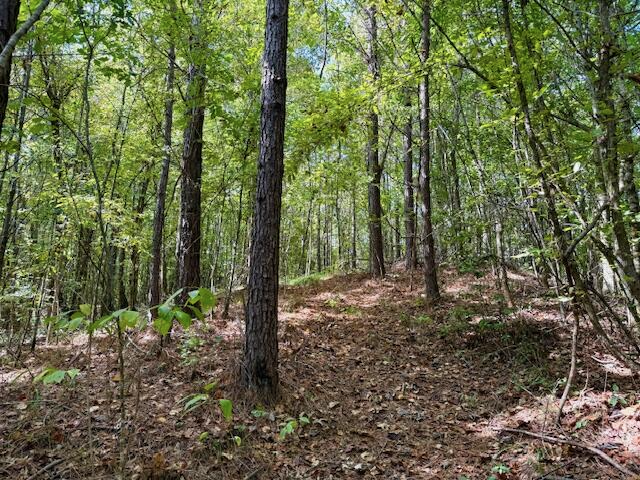Mississippi Land For Sale With A Creek