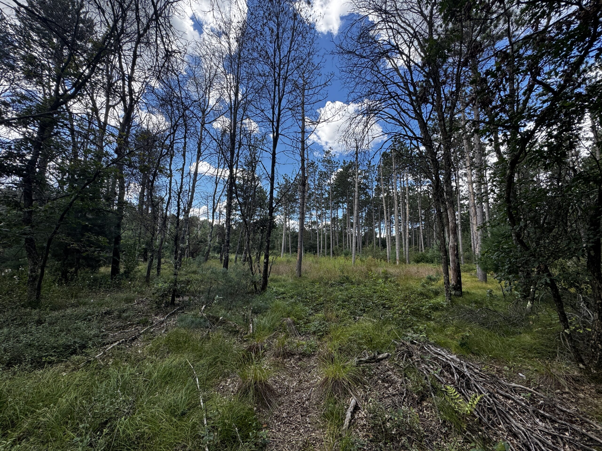 Escape to 80 acres of heavily timbered ground in Adams County