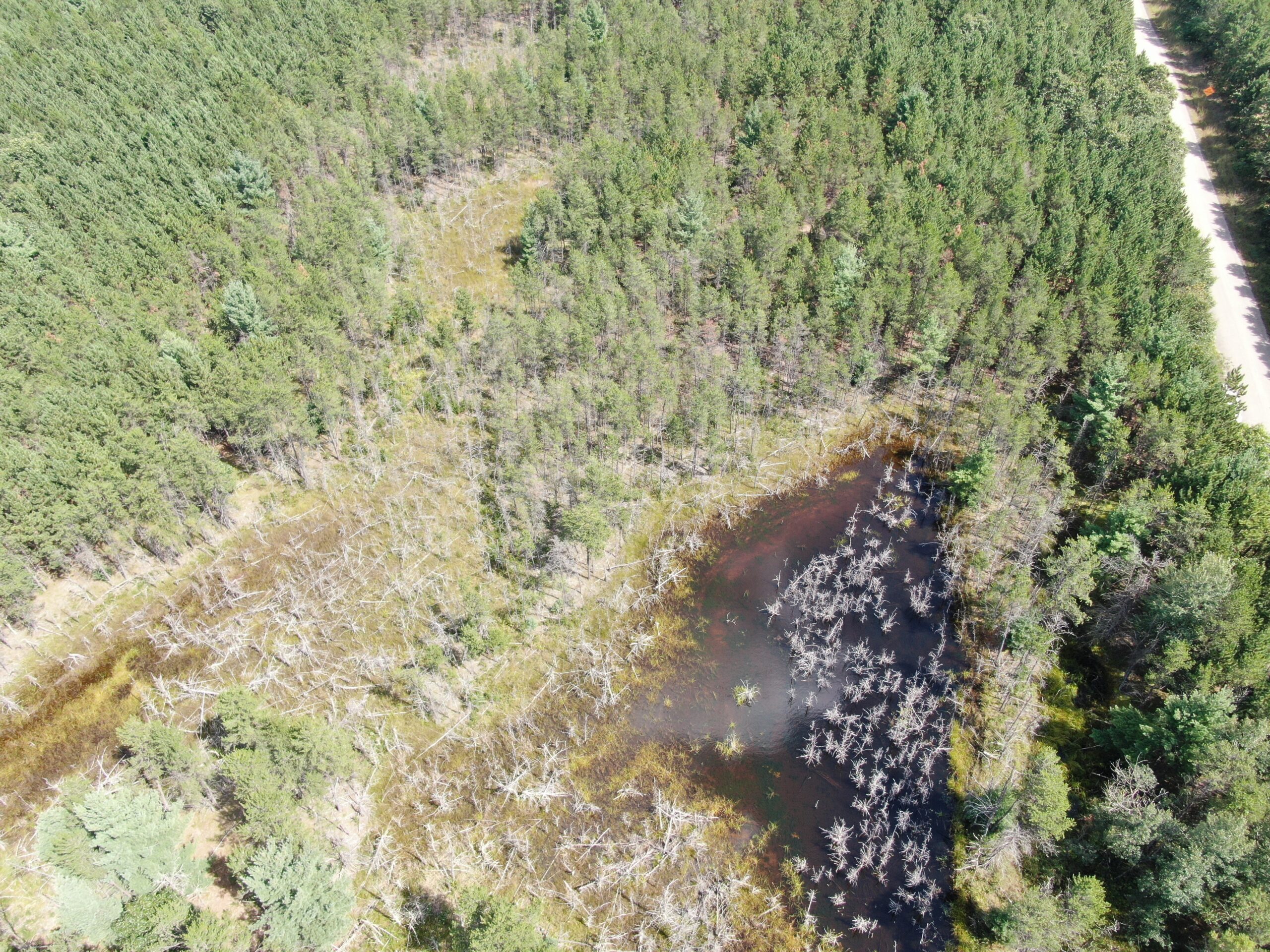 40 acres of recreational land in the Town of Monroe, Adams County