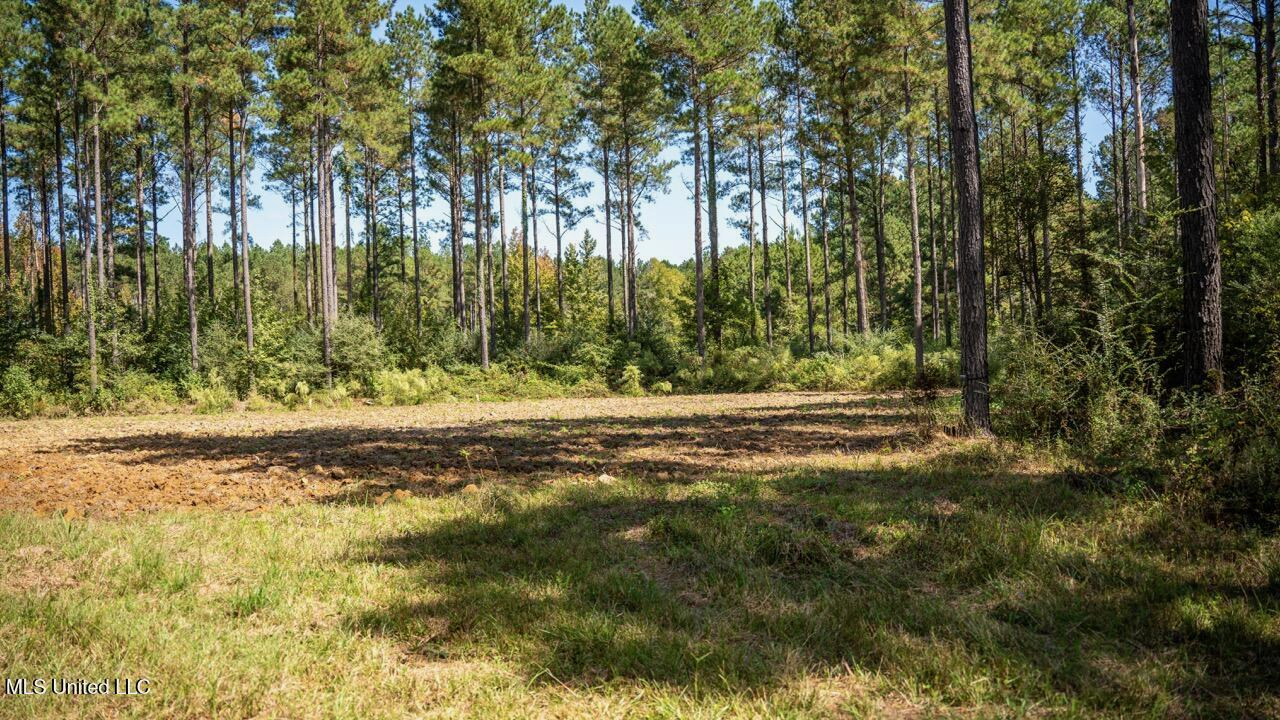 203 Acres in Smithdale MS – Turnkey Hunting Retreat