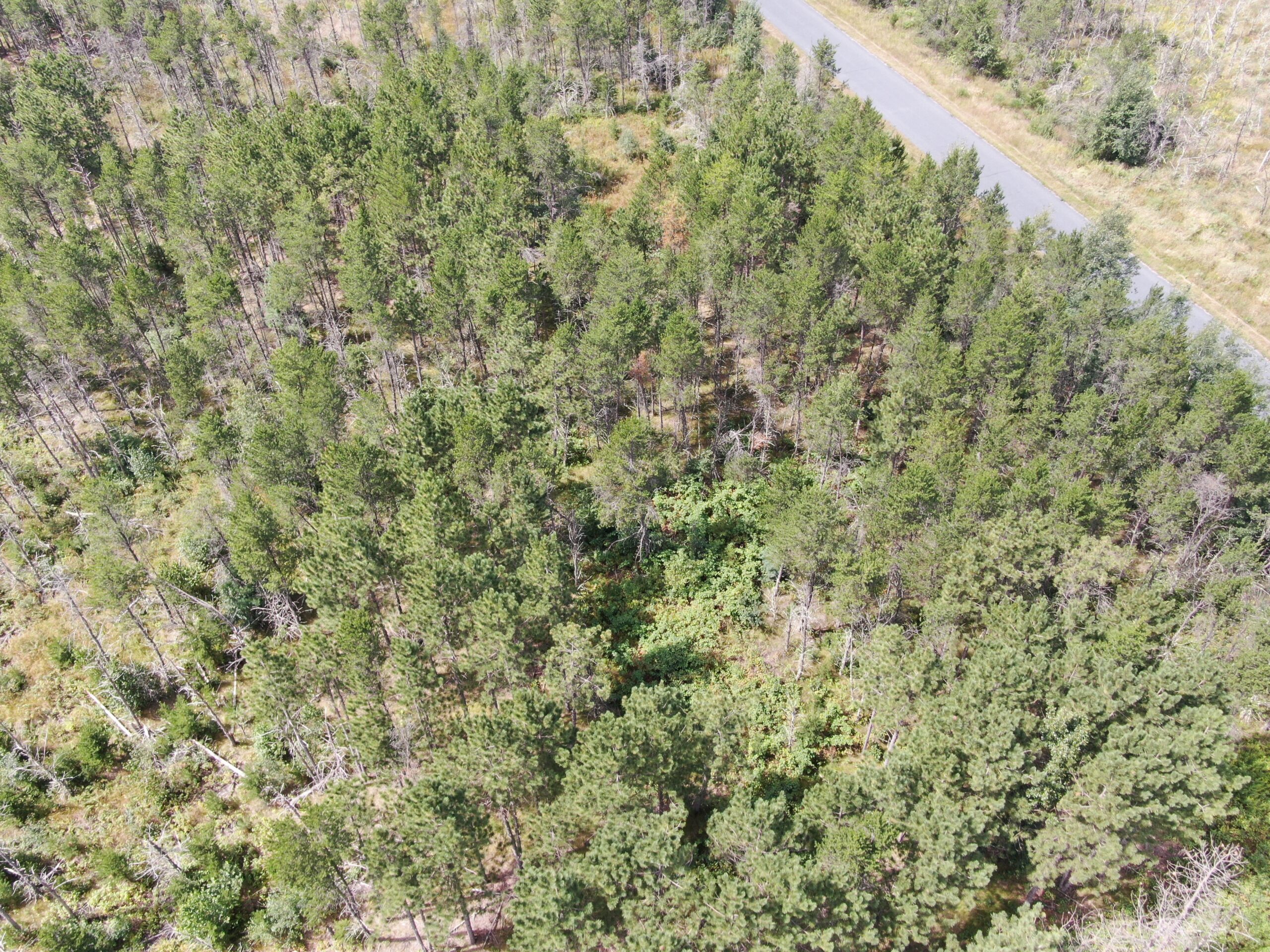 40-acre corner parcel in the Town of Monroe