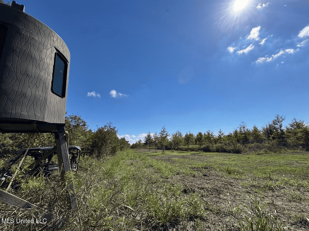 Tensas Parish Land Near Lake St. John – 80 Acres
