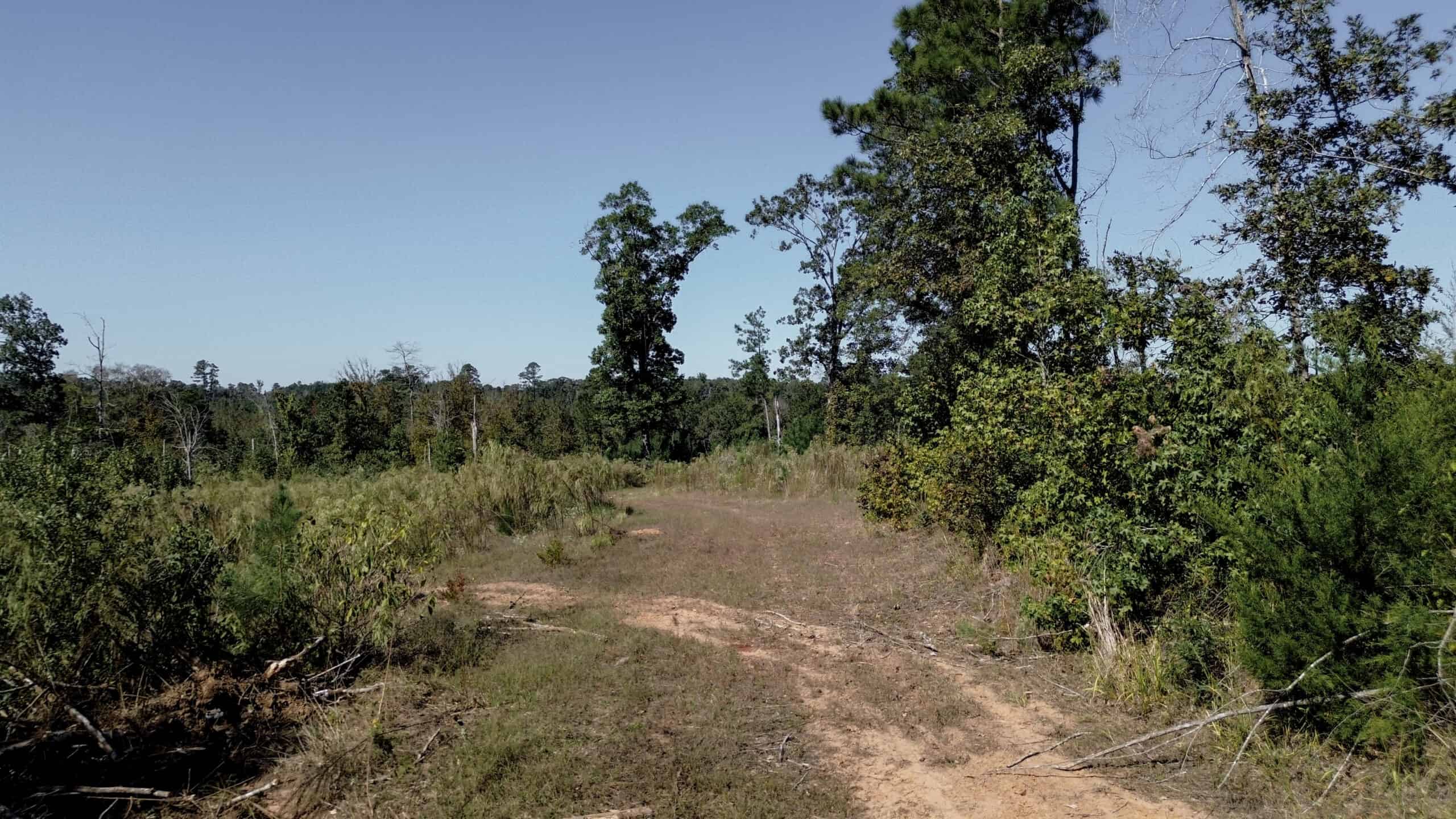 Affordable Lincoln Parish Land for Sale – Tract 4