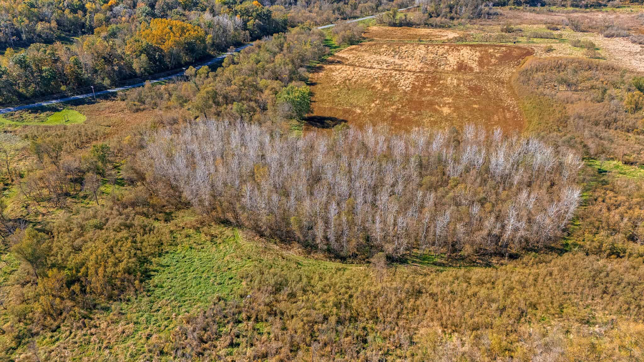 Trempealeau County Riverfront Hunting Land for Sale