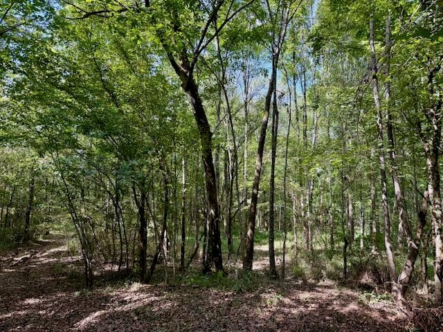 Mississippi Land For Sale With A Creek