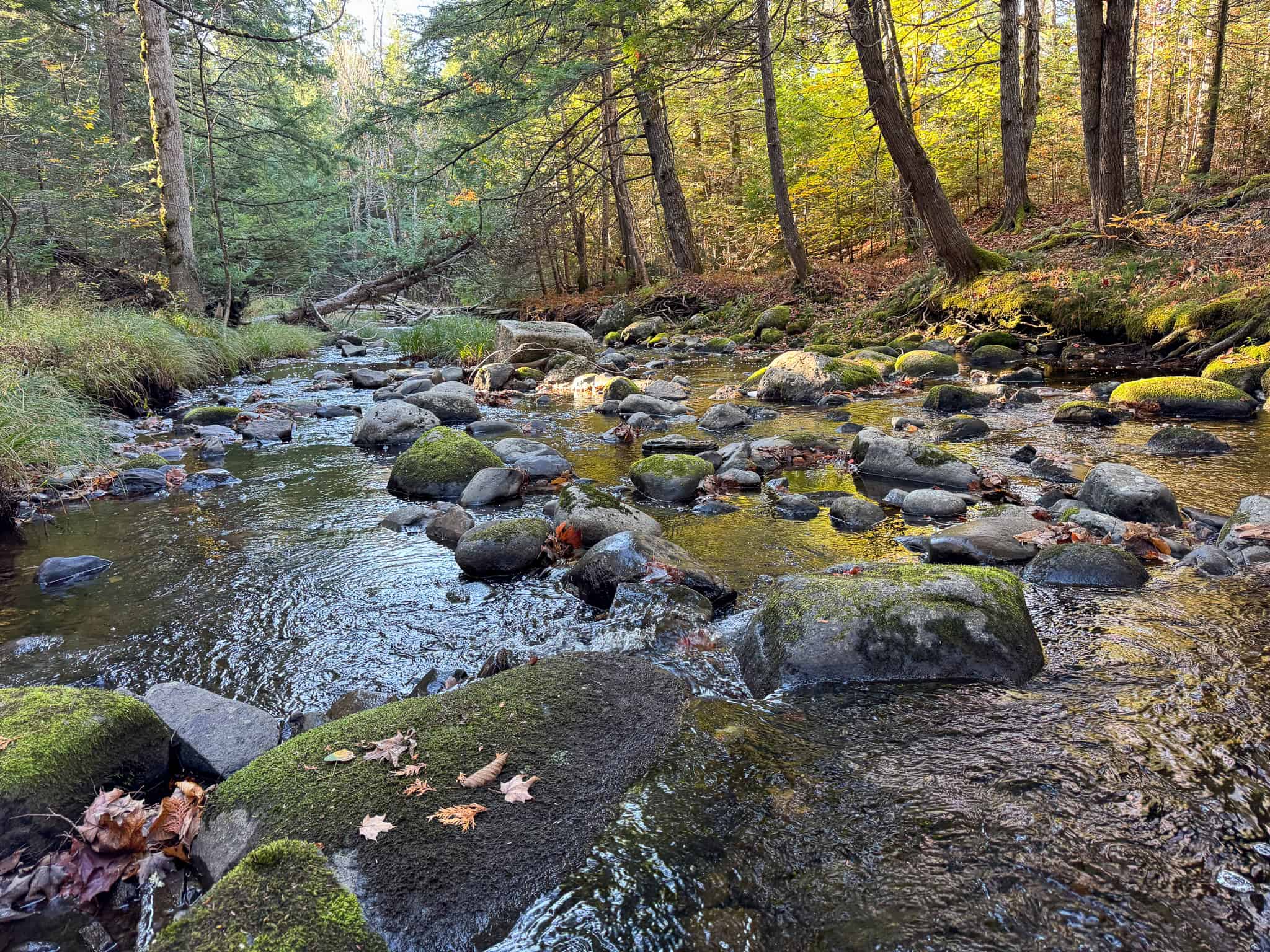 Off-Grid Maine Homestead with Dual Cabins, Solar Power & 49± Acres