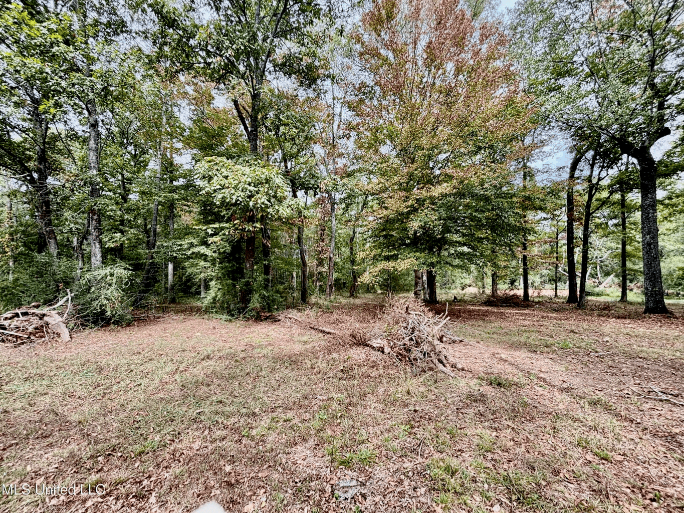 Farmhouse on Acreage with Hunting Land in Magnolia MS