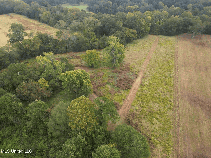 Remodeled Home on Acreage in Natchez, MIssissippi