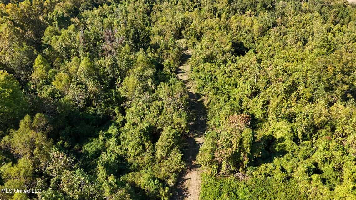 Yazoo River Hunting Tract 78.16 Acres