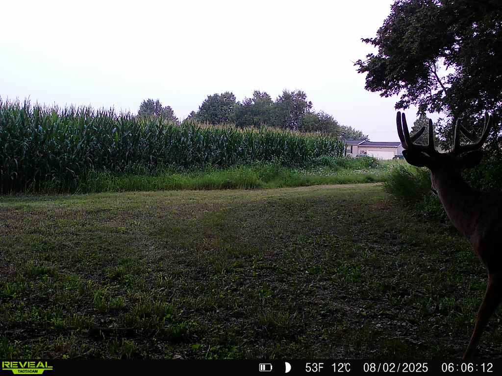 28± acre Sauk County Gem of a Property