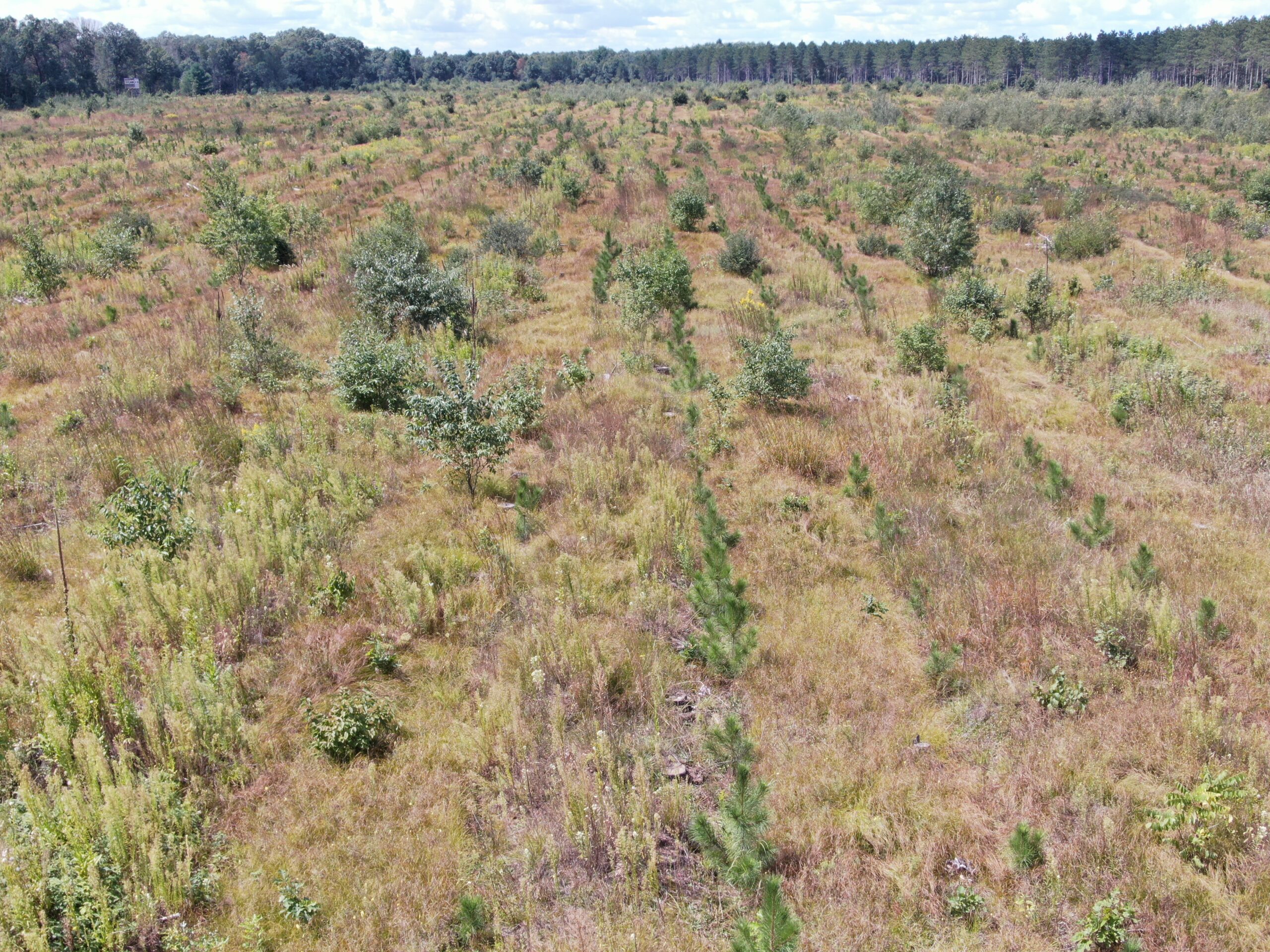 80-acre parcel in the Town of Big Flats