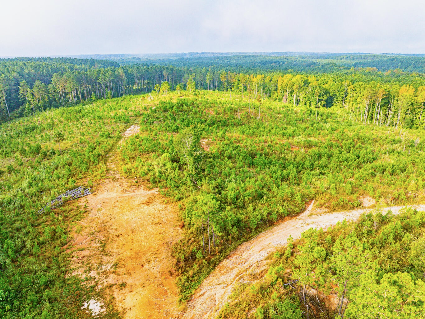 701 Acre Timber & Hunting Land Prentiss Co MS