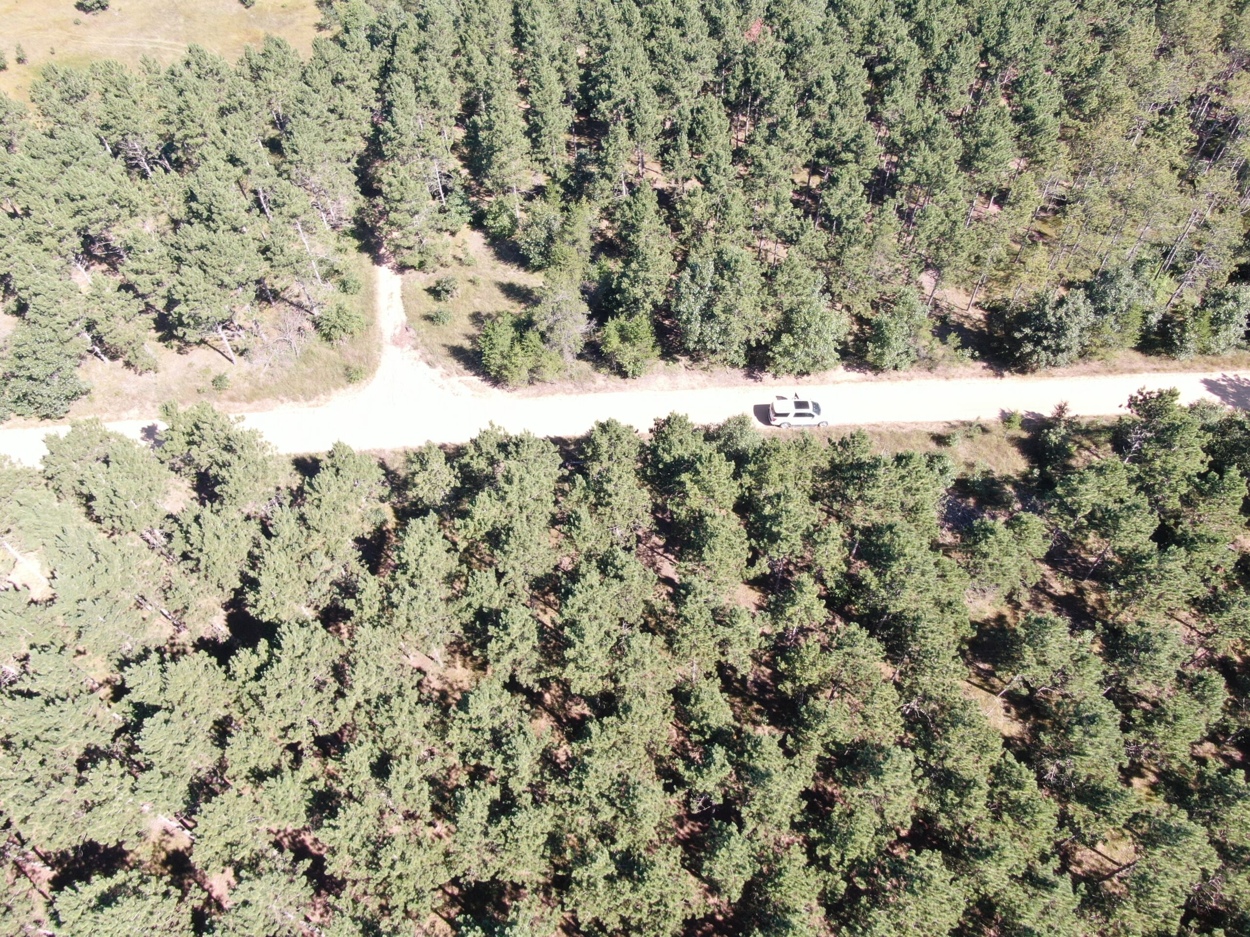 77-acre timber tract in the Town of Rome