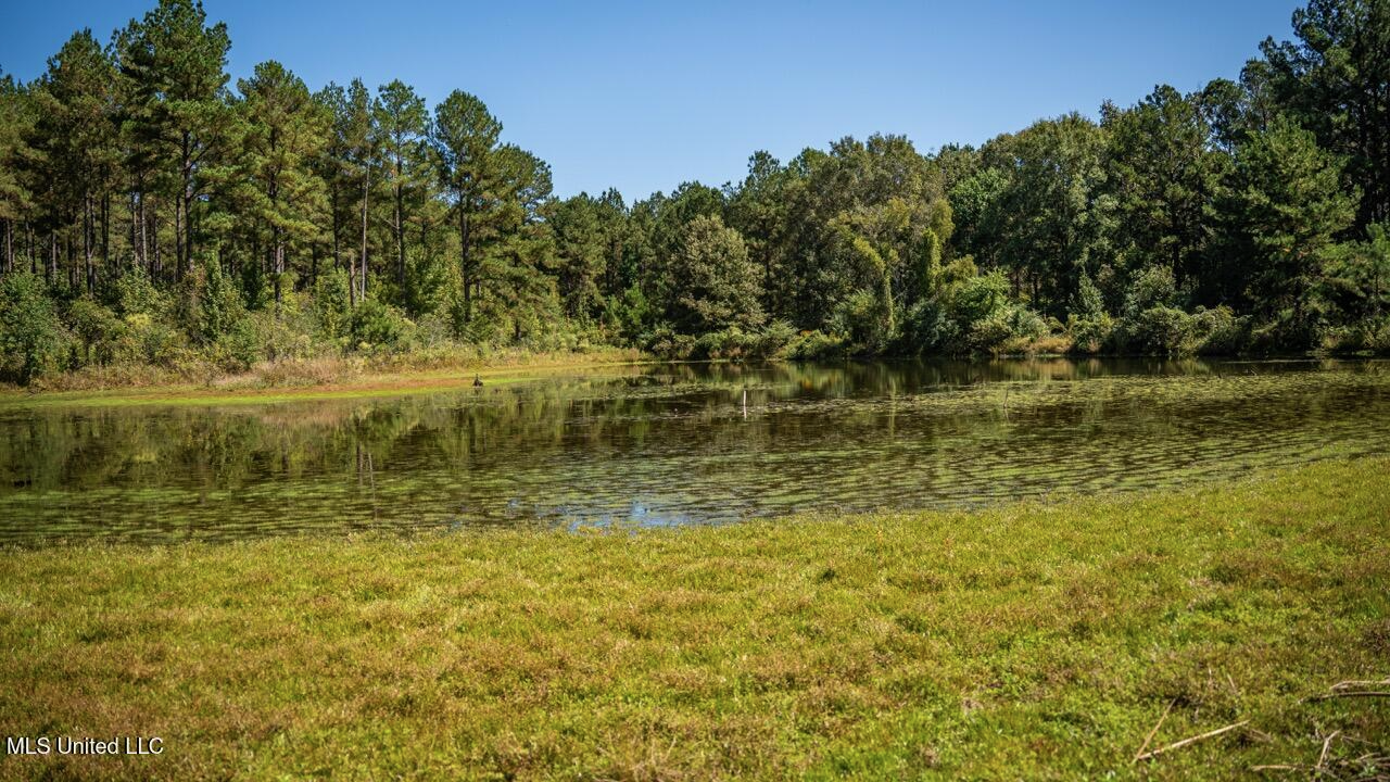 203 Acres in Smithdale MS – Turnkey Hunting Retreat