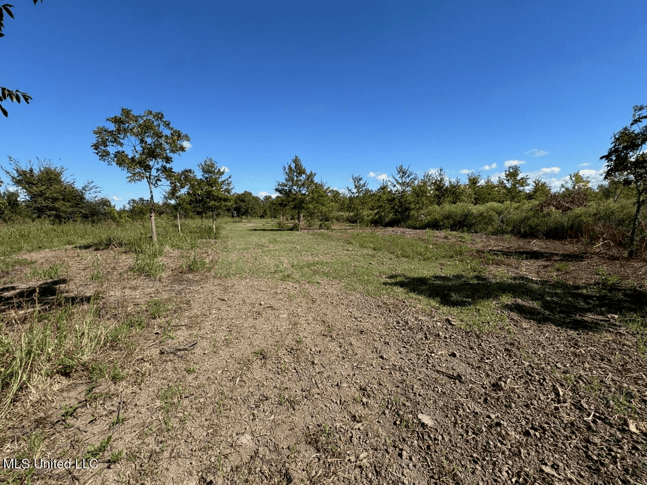 Tensas Parish Land Near Lake St. John – 80 Acres