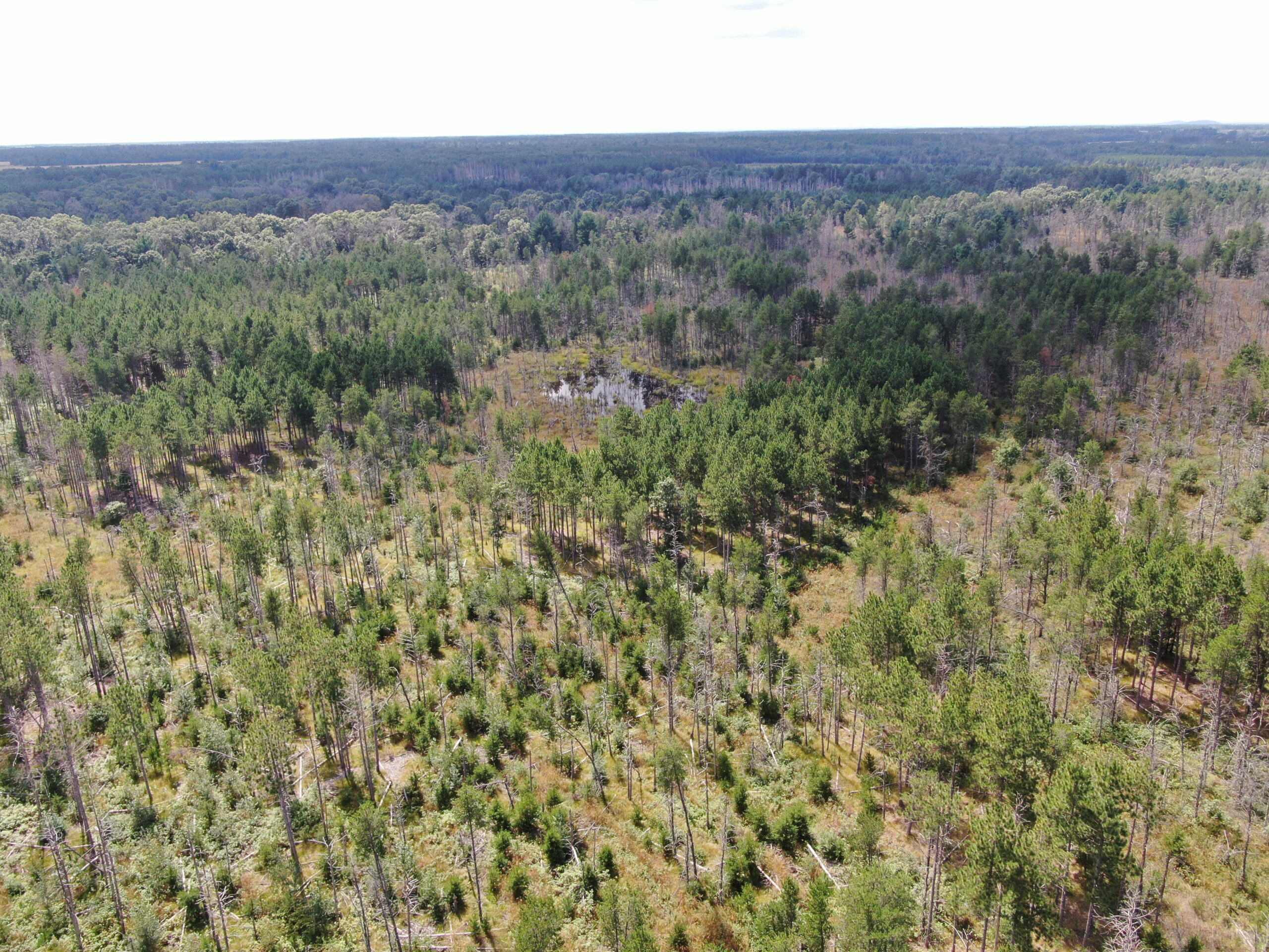 40-acre corner parcel in the Town of Monroe