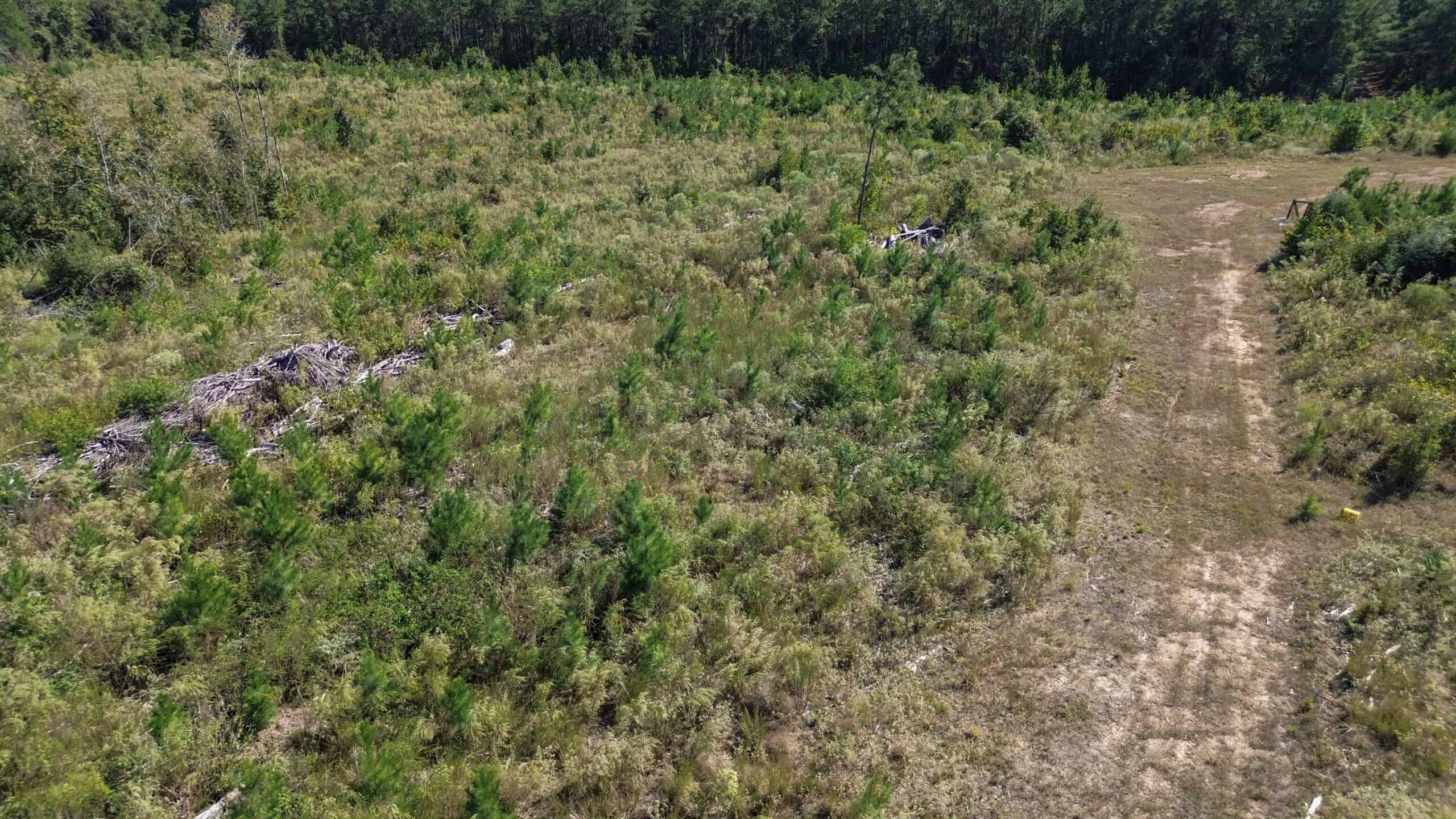 Affordable Lincoln Parish Land for Sale – Tract 4