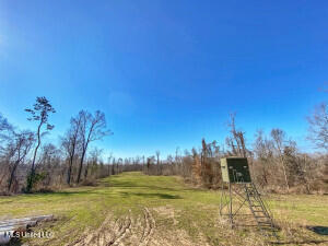 Southside Land Share for Sale in Jefferson County, MS