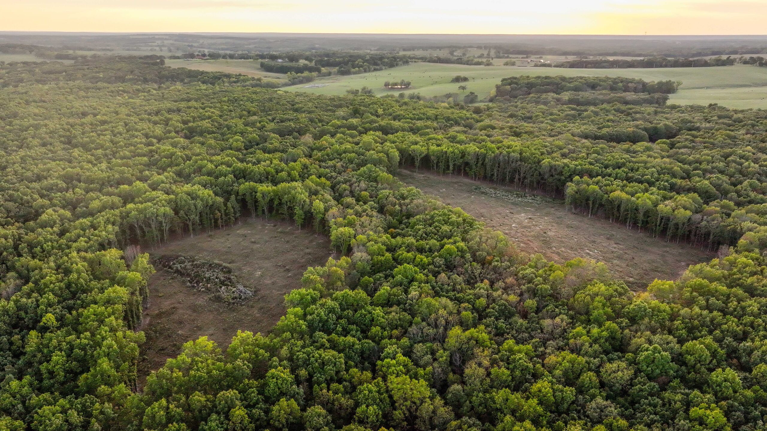 245.4 +\- acres with home in Cross Timbers MO