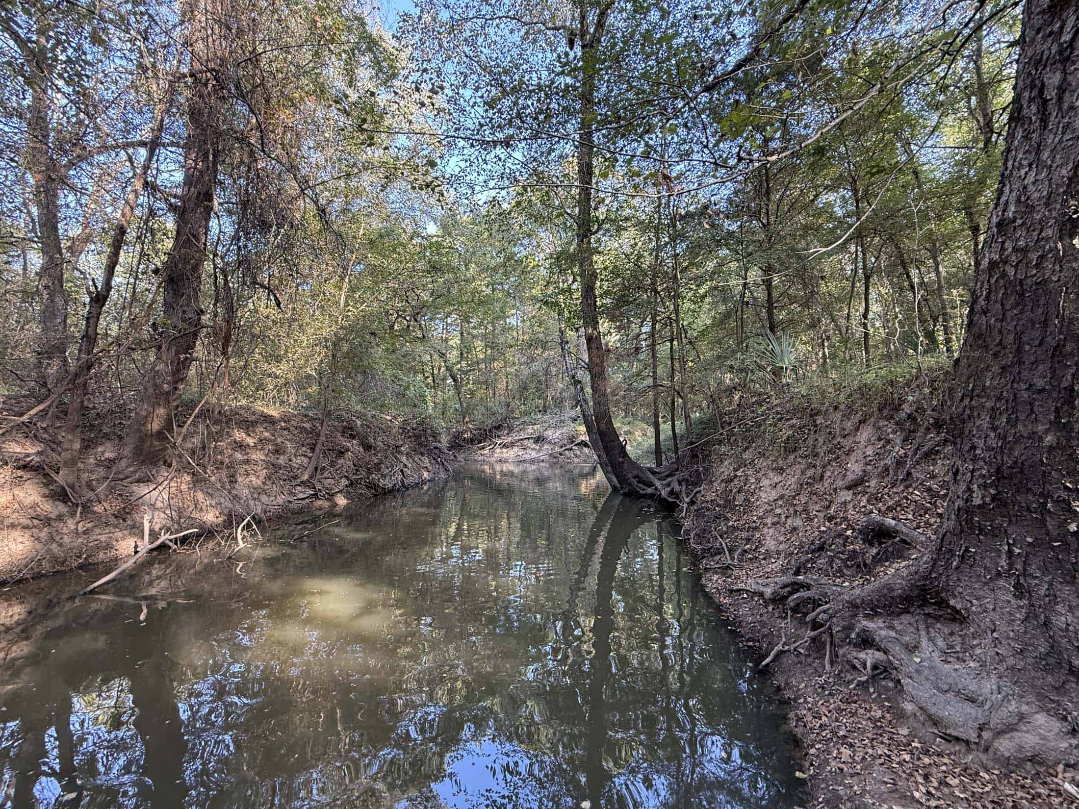 East Texas Hunting Property with Year-Round Creek in Fruitvale