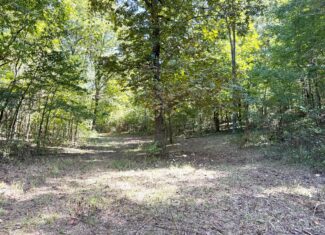 HUNTING AND RECREATIONAL LAND FOR SALE IN ARKANSAS