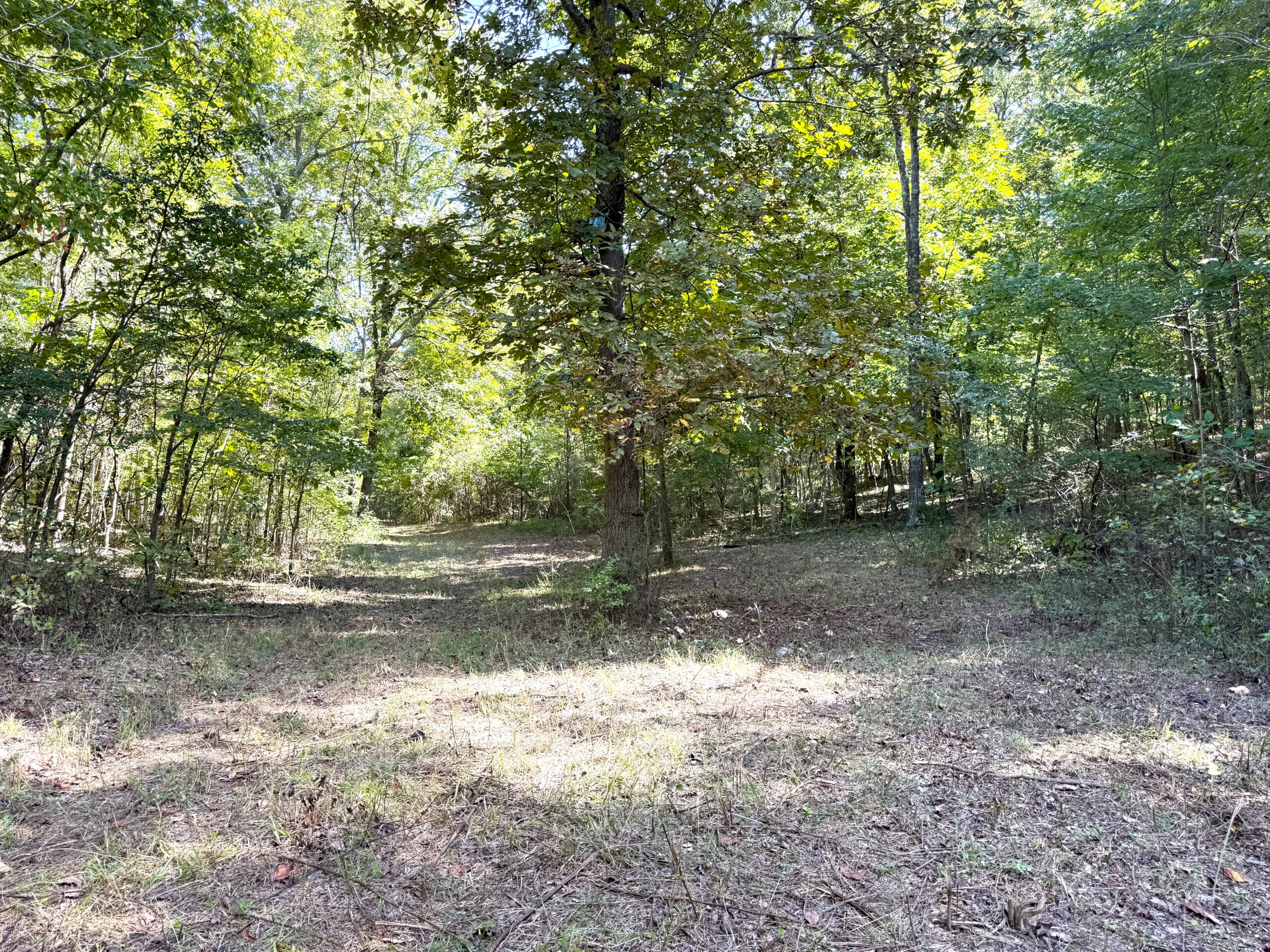 HUNTING AND RECREATIONAL LAND FOR SALE IN ARKANSAS