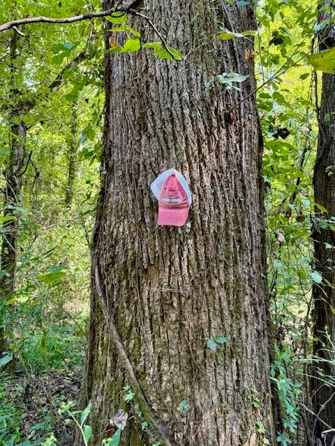Mississippi Land For Sale With A Creek