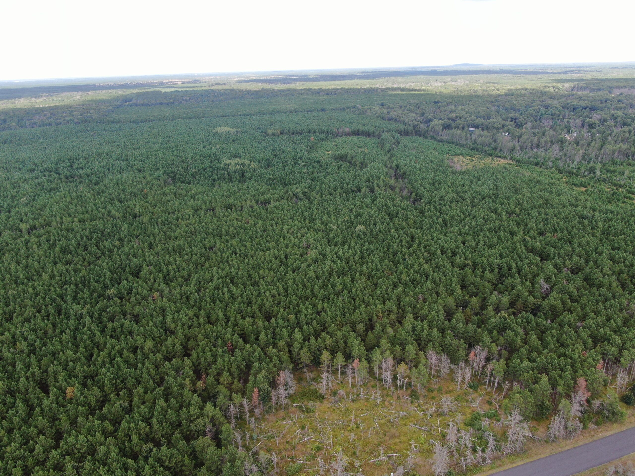 40-acre timber tract in Adams County