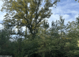 11.5+- Acres North Pike School District