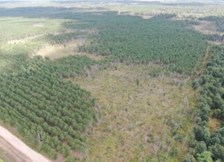 80-acre timber tract in Adams County