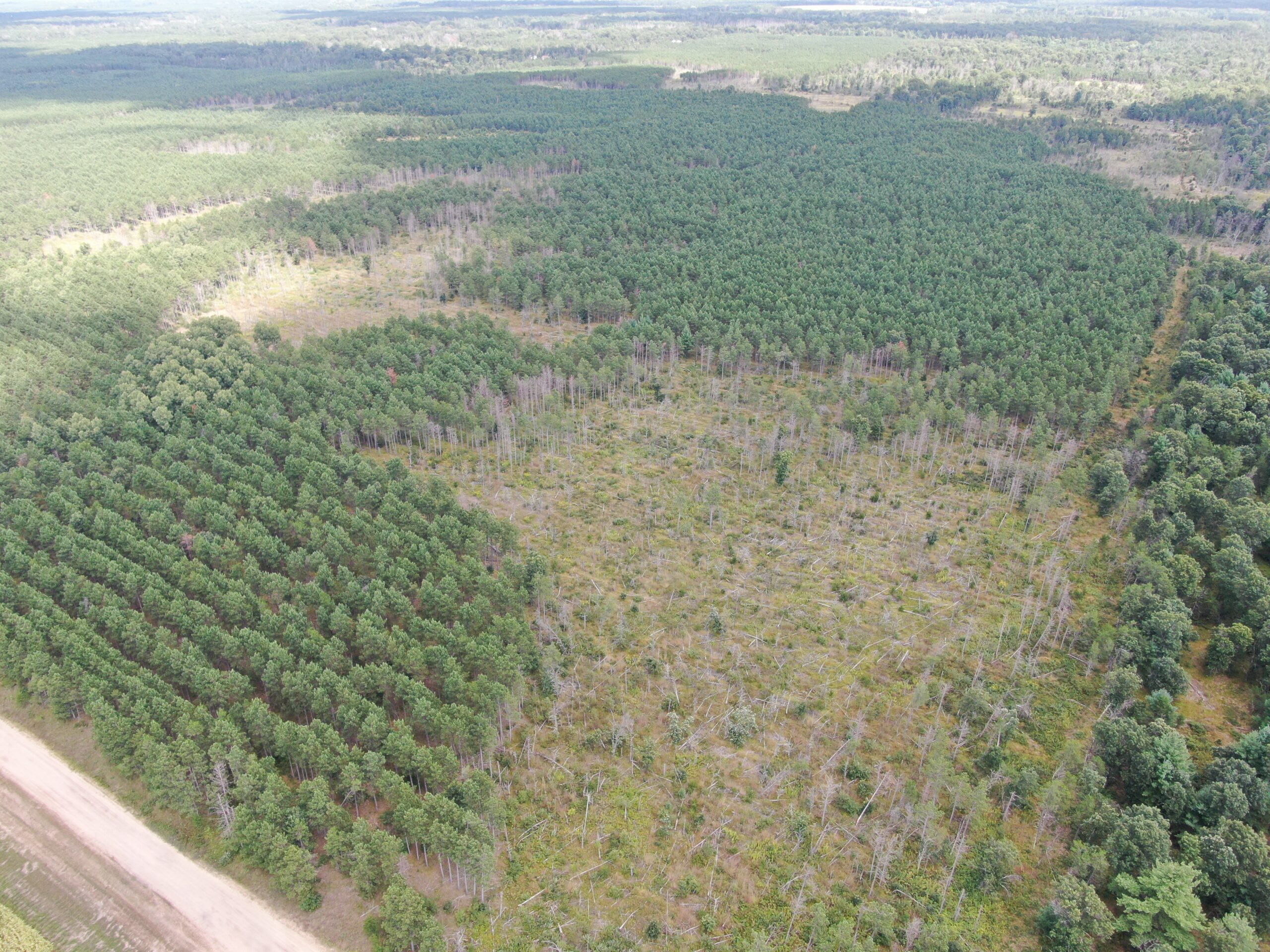 80-acre timber tract in Adams County