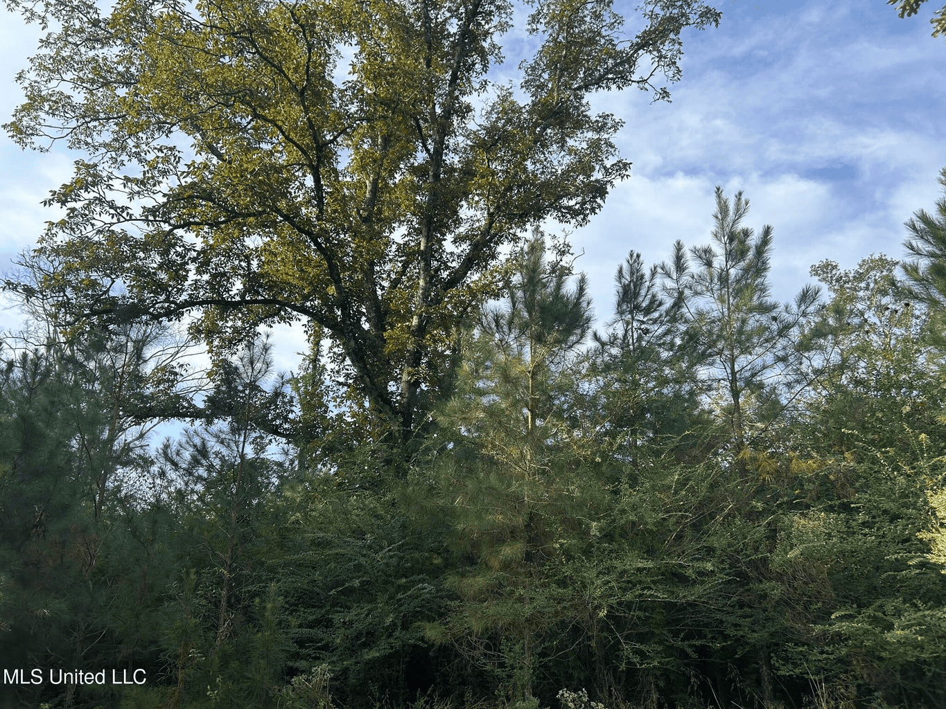 11.5+- Acres North Pike School District
