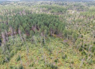 40-acre corner parcel in the Town of Monroe