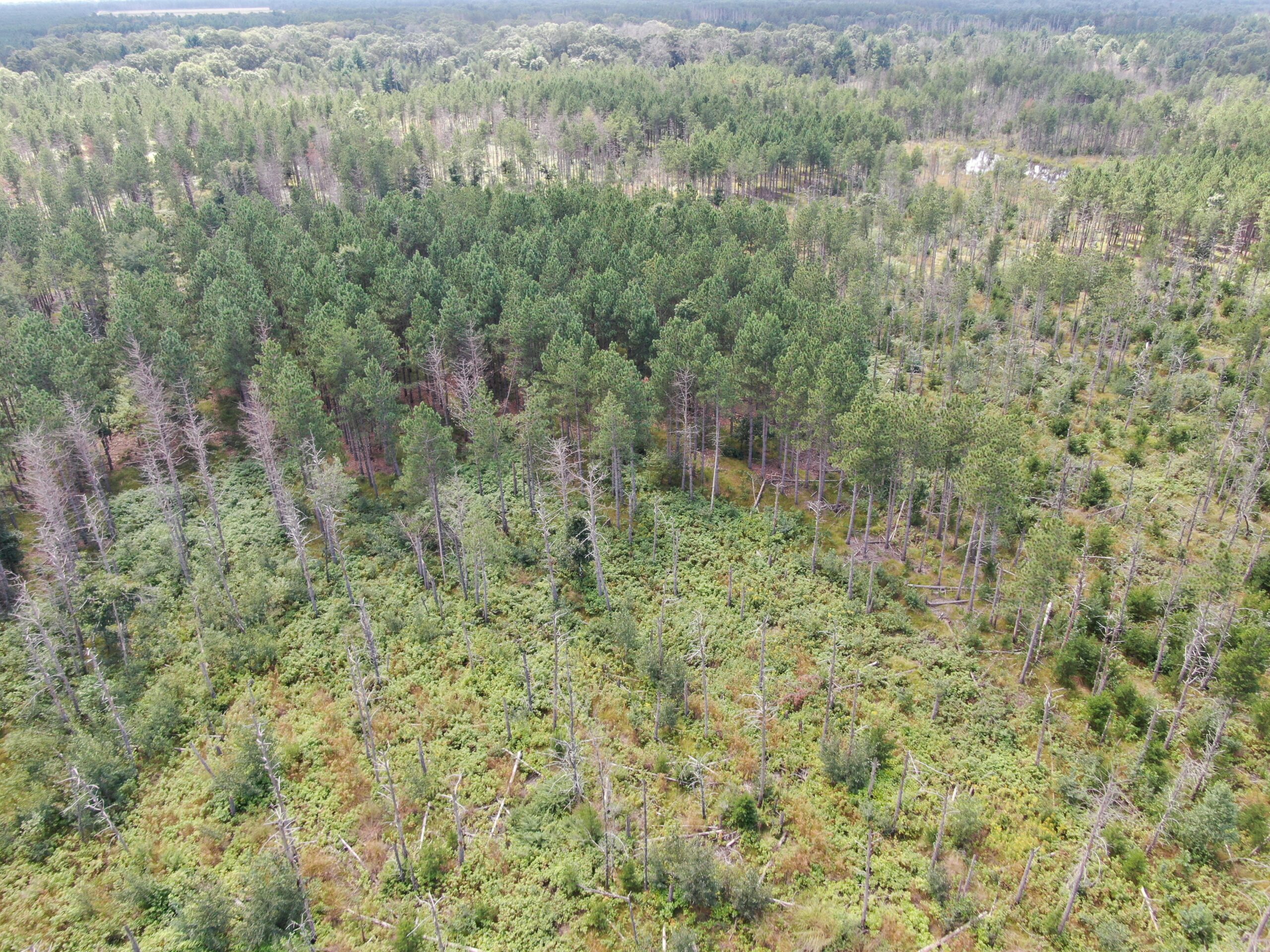 40-acre corner parcel in the Town of Monroe