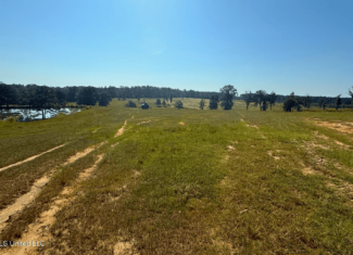 Rolling Hills Pastureland and Wooded land for sale