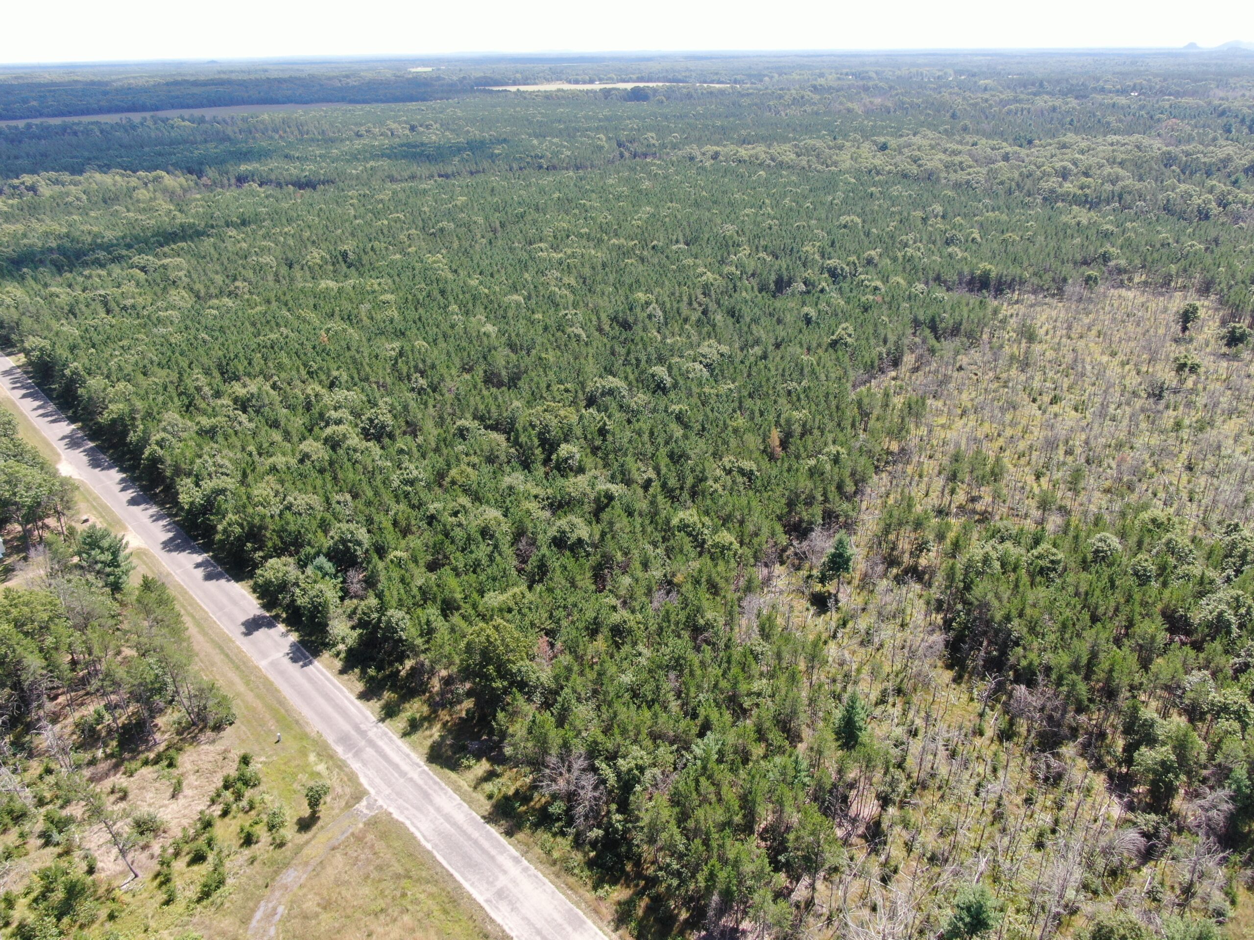 40-acre corner parcel in the Town of Big Flats, Adams County